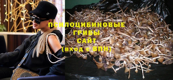 ГАЛЛЮЦИНОГЕННЫЕ ГРИБЫ Мегион