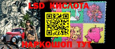 прущие крисы Будённовск