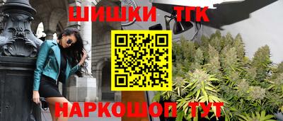 прущие крисы Будённовск