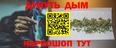 прущие крисы Будённовск