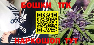 прущие крисы Будённовск