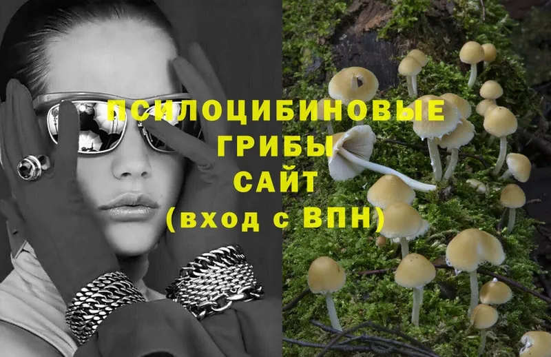 Псилоцибиновые грибы Psilocybine cubensis  ссылка на мегу зеркало  дарк нет официальный сайт  Камень-на-Оби 