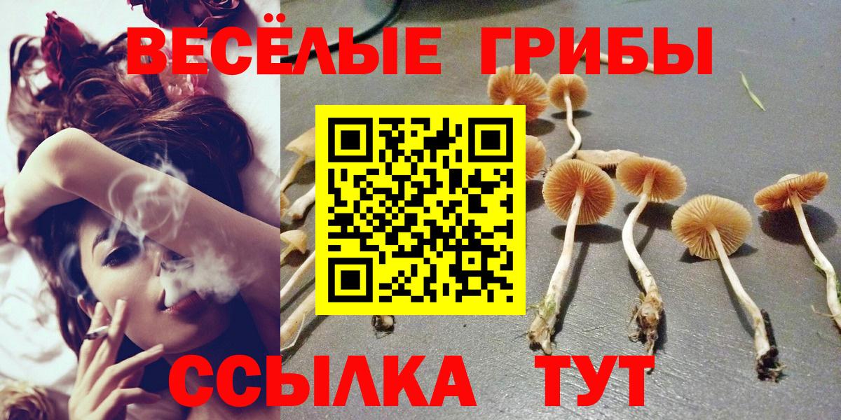 Камень-на-Оби  Галлюциногенные грибы Cubensis  Вход с VPN 